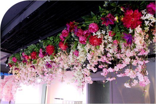 �ö�� ��Ÿ�ϸ�